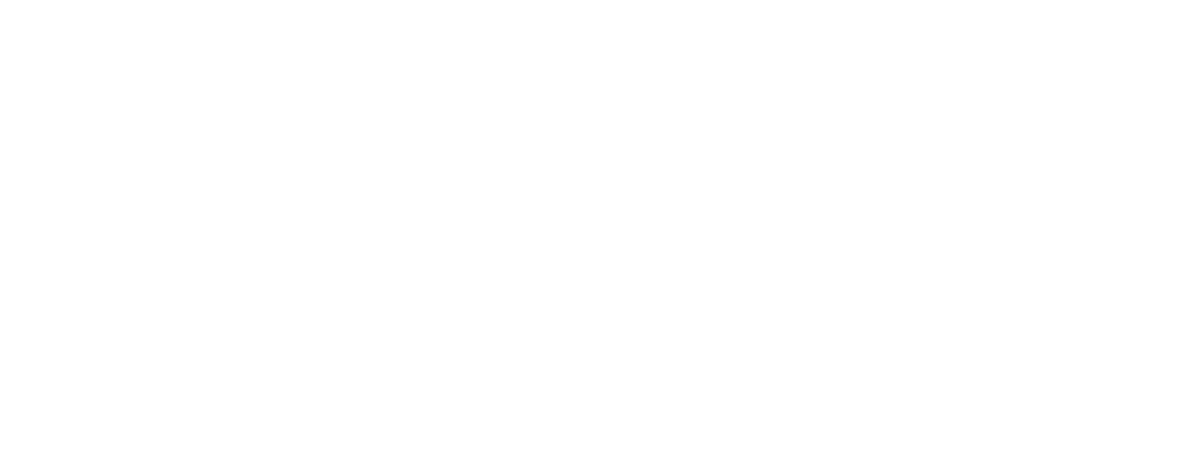 MAX MEDIA STREAM